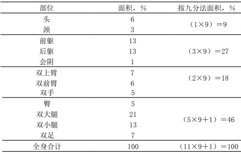 表 C.1 体表面积的九分估算法